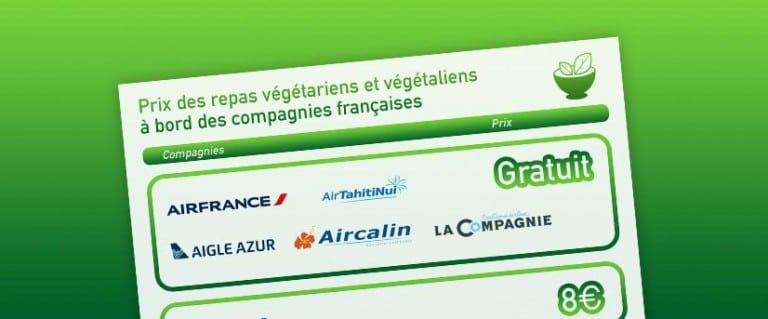 Manger végétarien en avion, c’est possible !