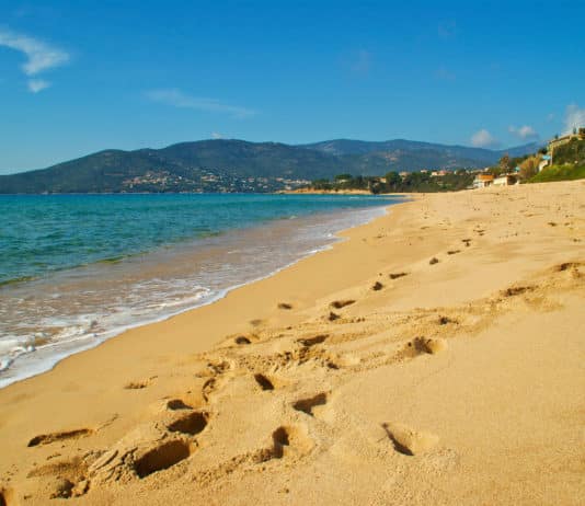 Corse